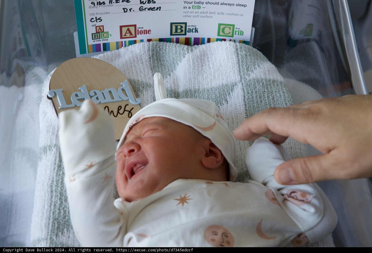 Welcome to the World, Leland