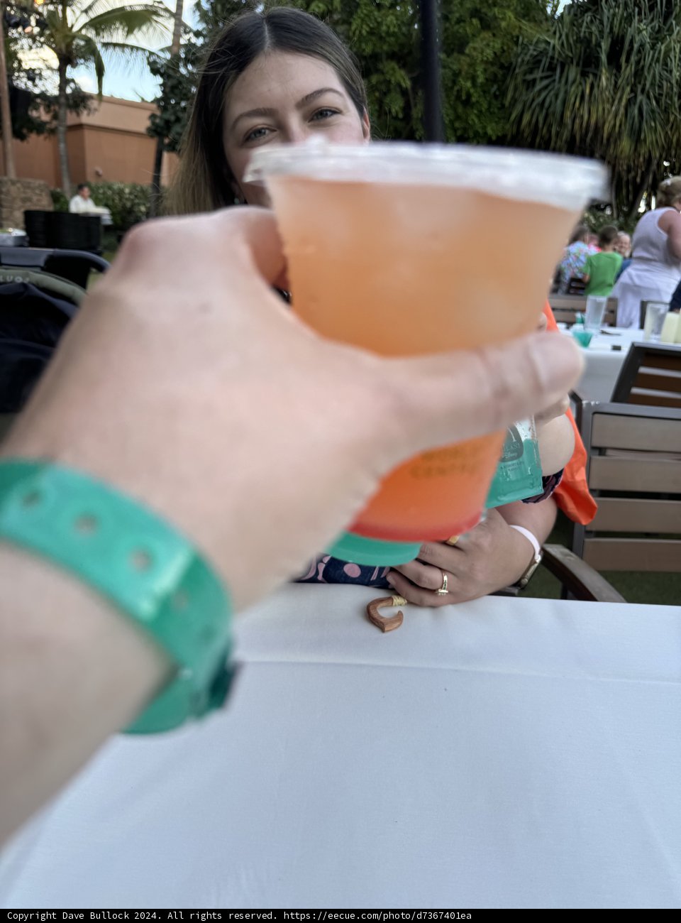 Cheers to Island Life