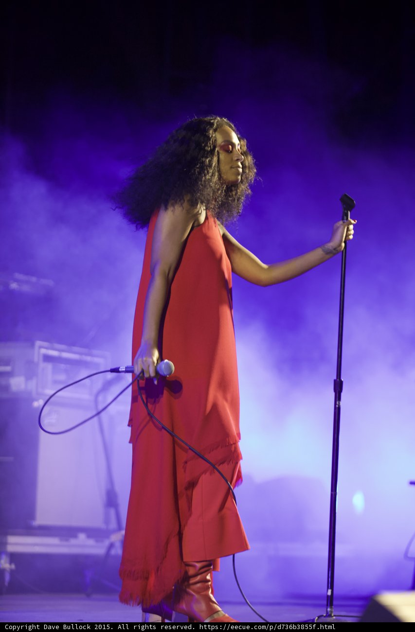 Solange Holding Mic And Stand Profile Red Dress Purple