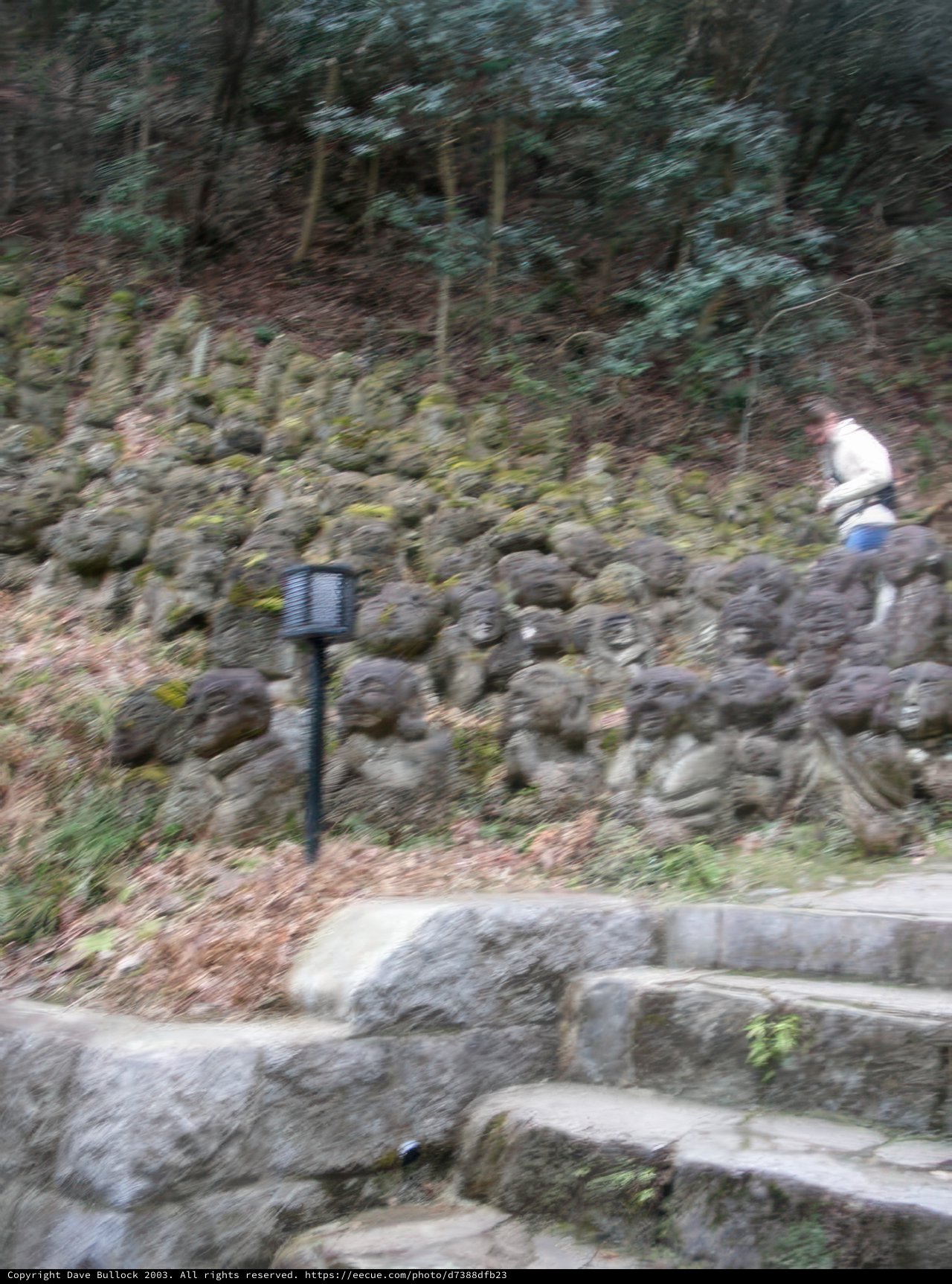 Walking through History