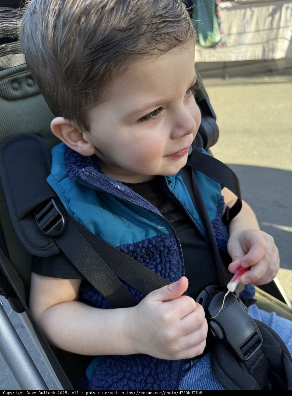 Stroller Adventures