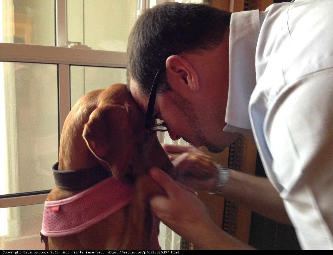 Man and Hound Bonding in Pasadena