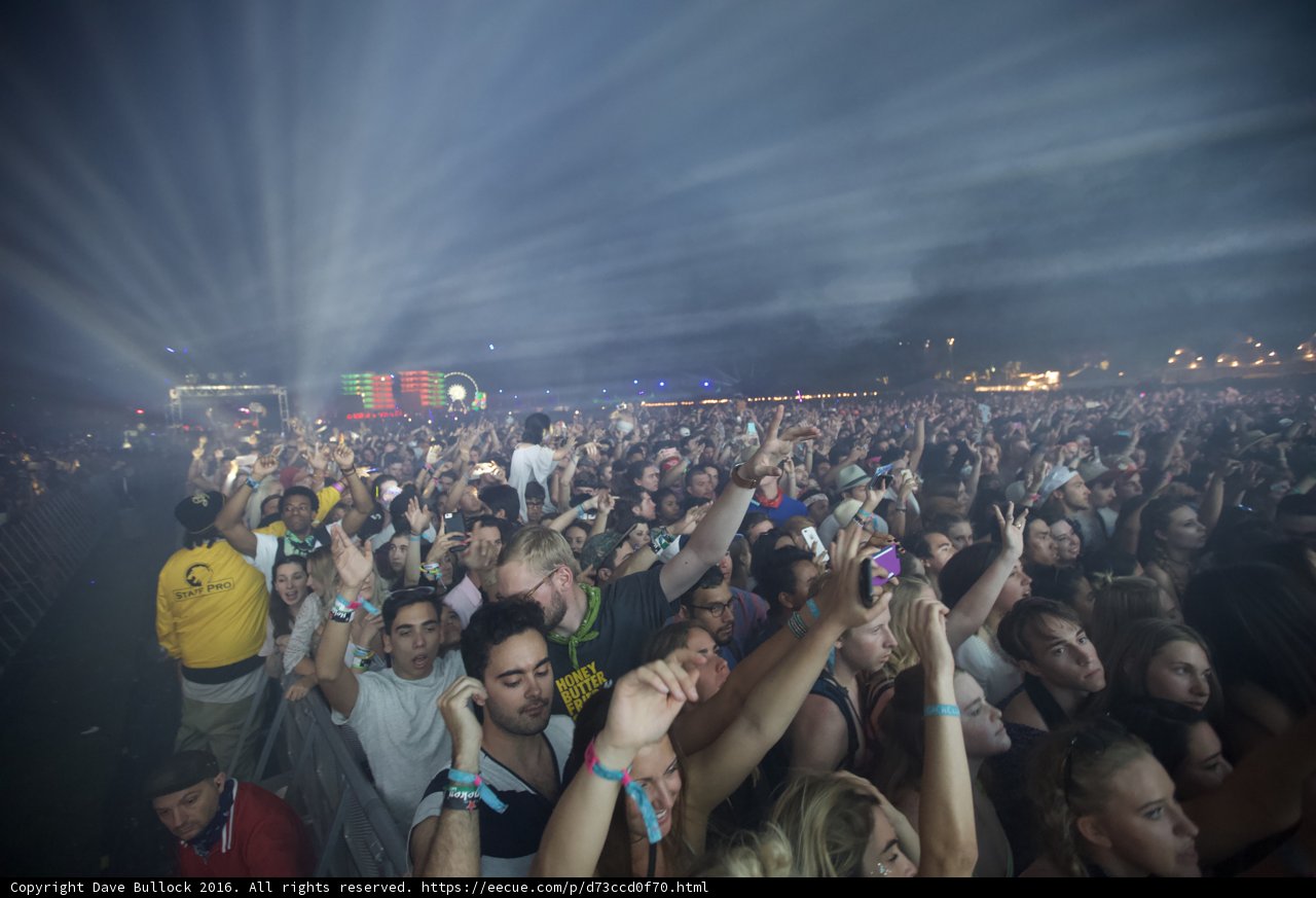 Party People Under the Coachella Lights