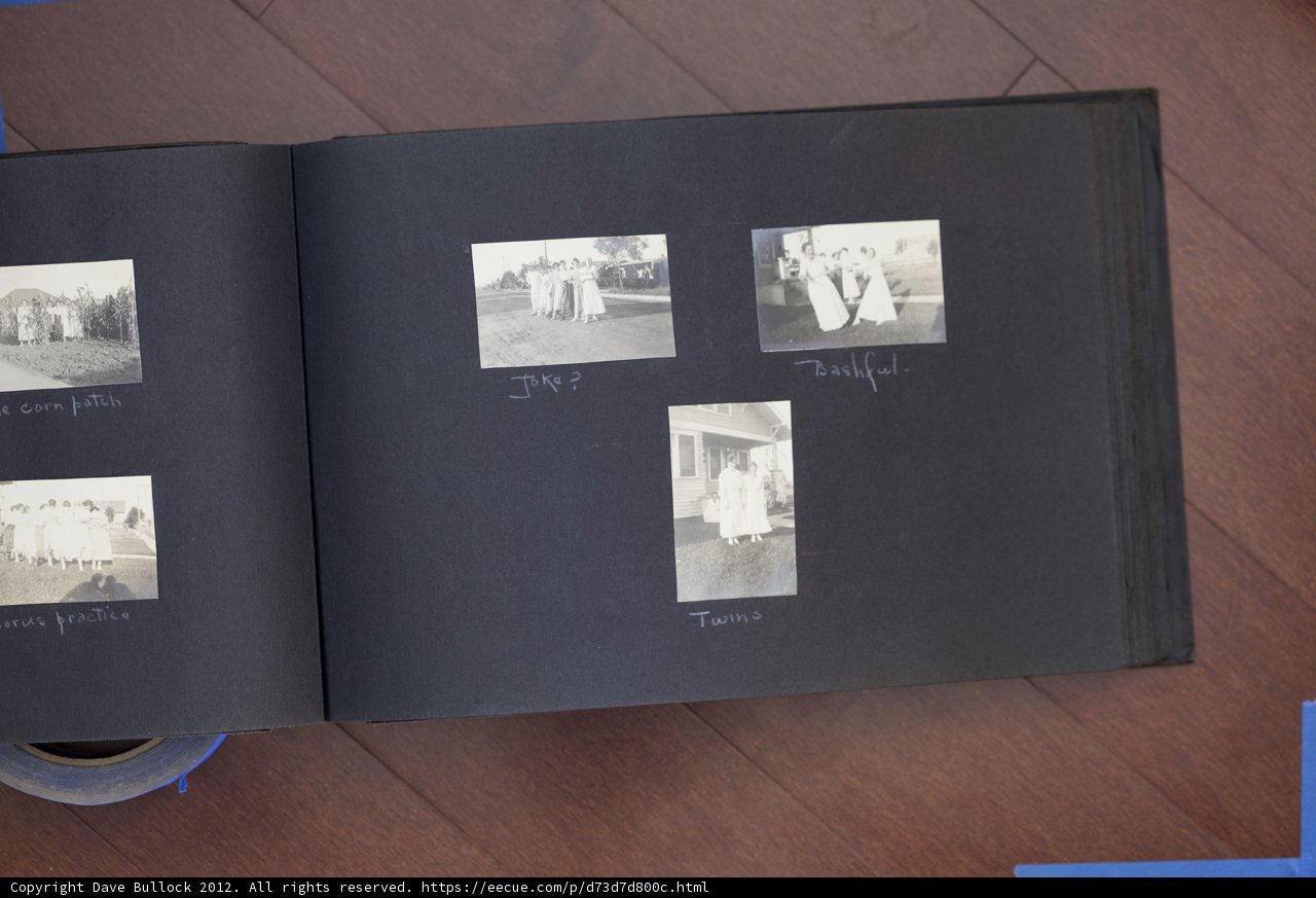 Posed and Published: The 2012 Bullock Curtis Family Photo Book
