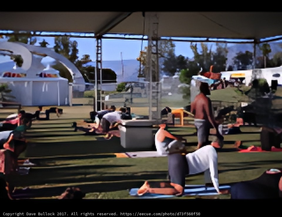 Yoga in the Park