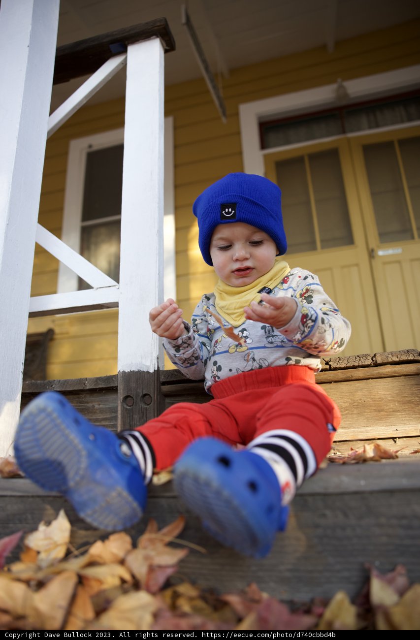 Wesley's Sunday Leisure on Sonoma Porch