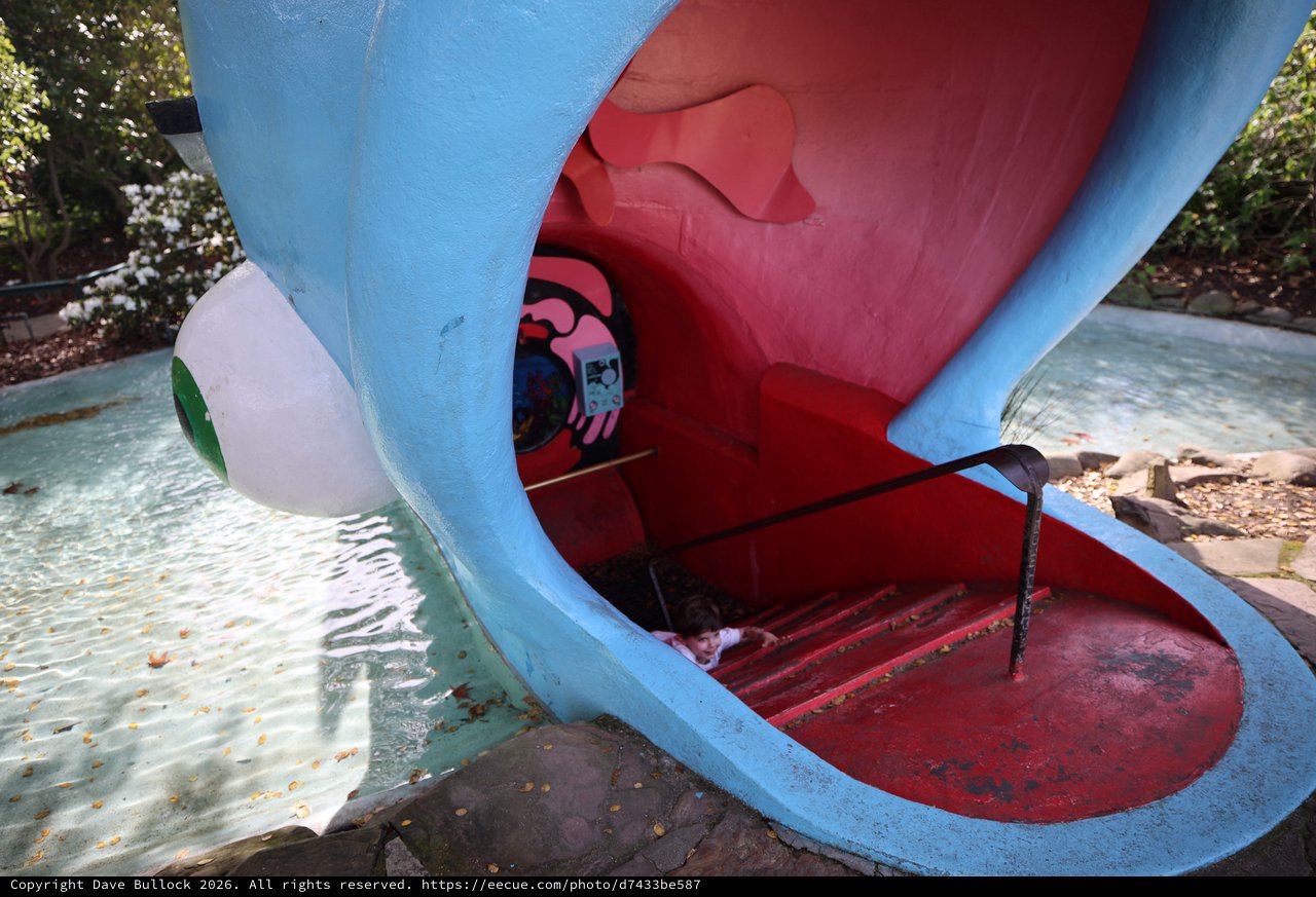 Inside the Mouth of an Abandoned Water Slide