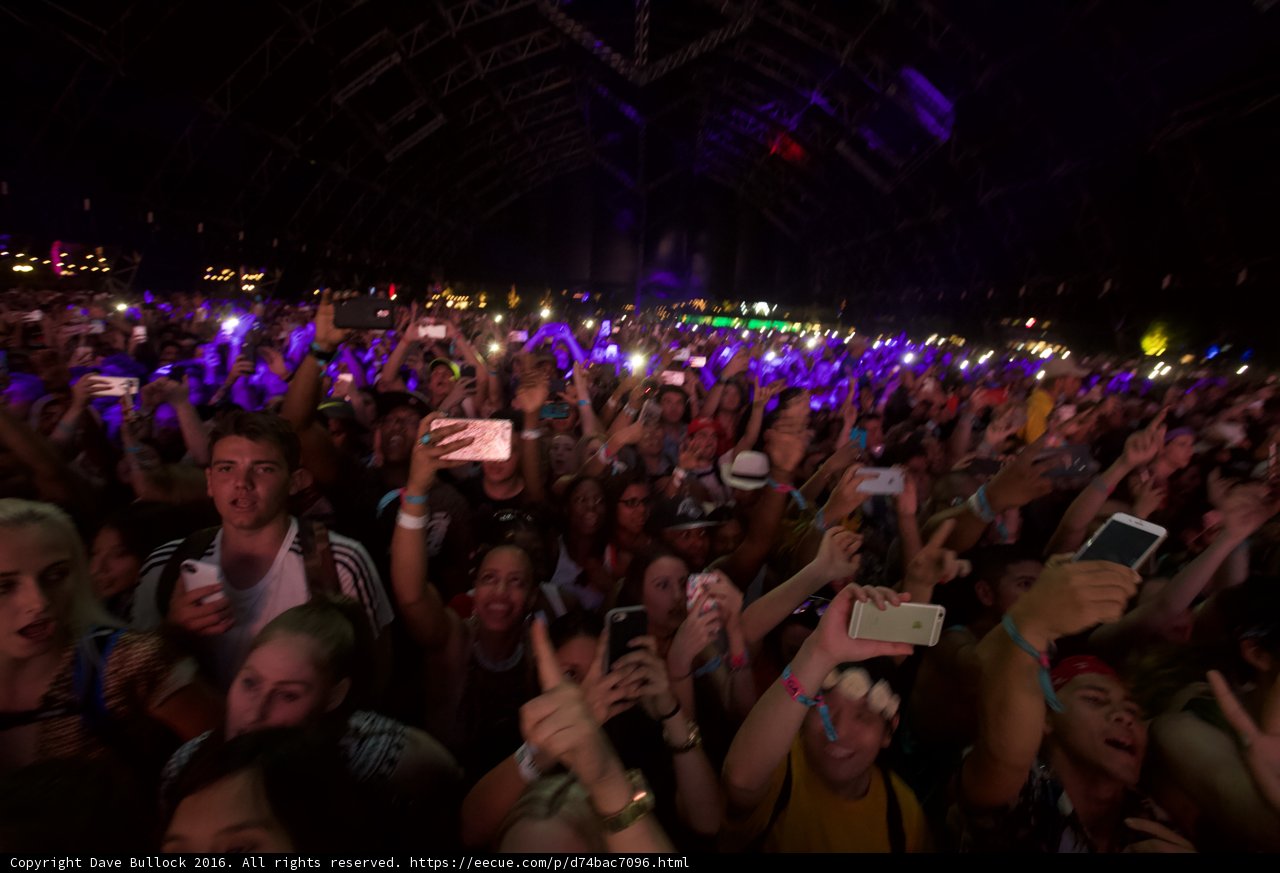 Hands Up at Coachella