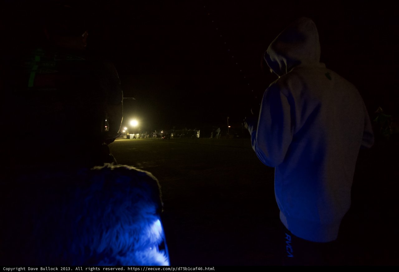 Nighttime Stroll with Man and Dog