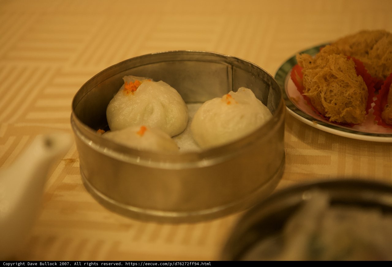 Delicious Dumplings on the Go