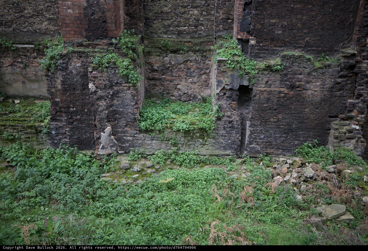 Overgrown Ruins of Industrial London Building