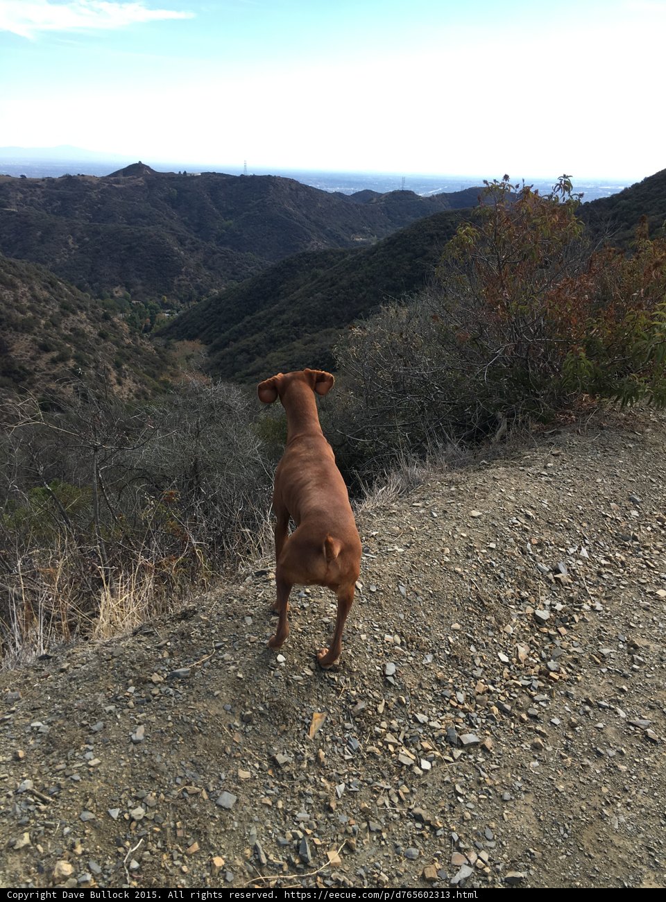 Late Afternoon Trail