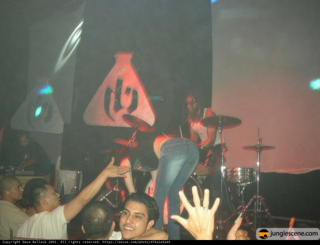 Concertgoers Get in the Groove