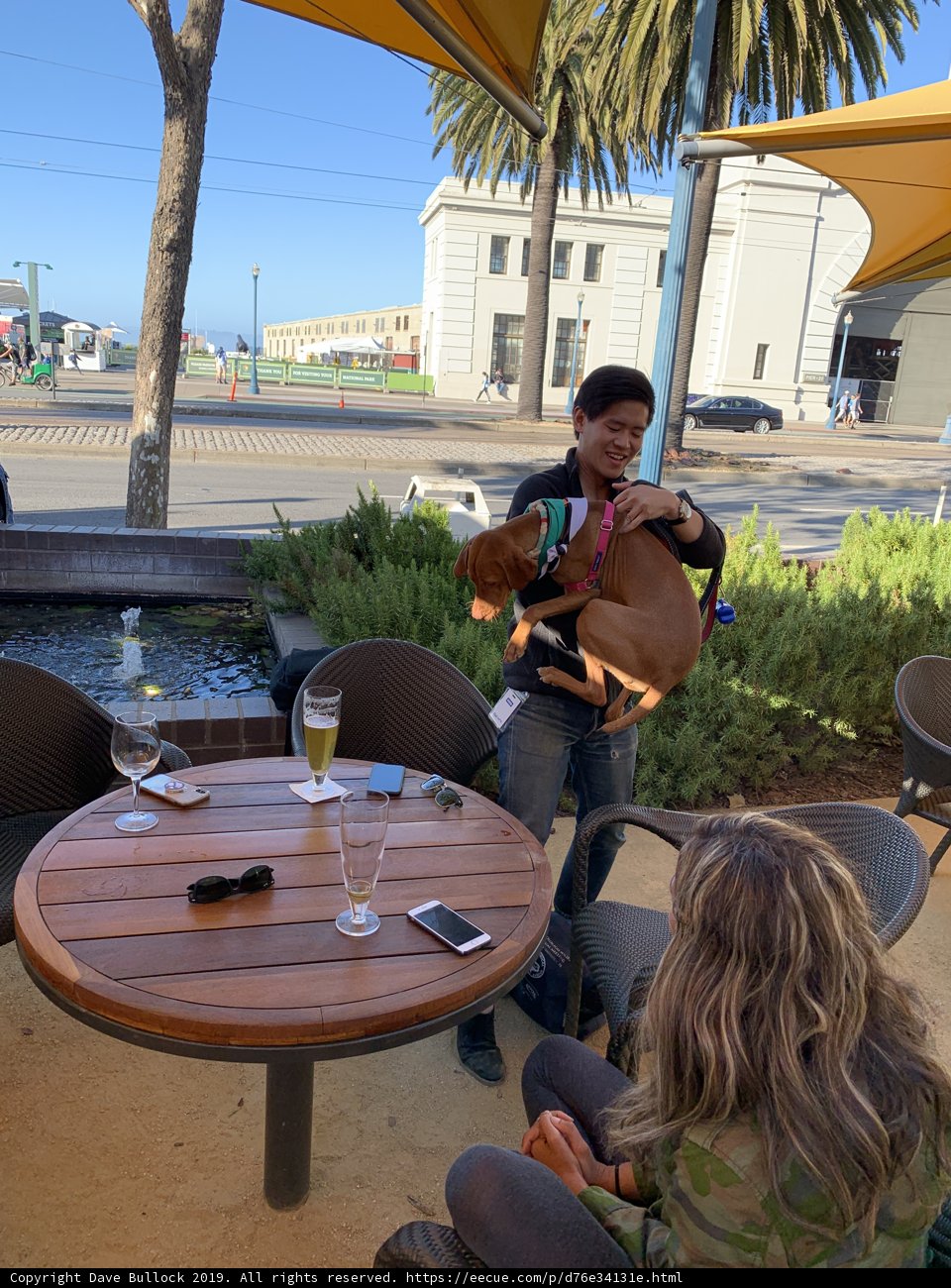 Strumming under the San Francisco Sky
