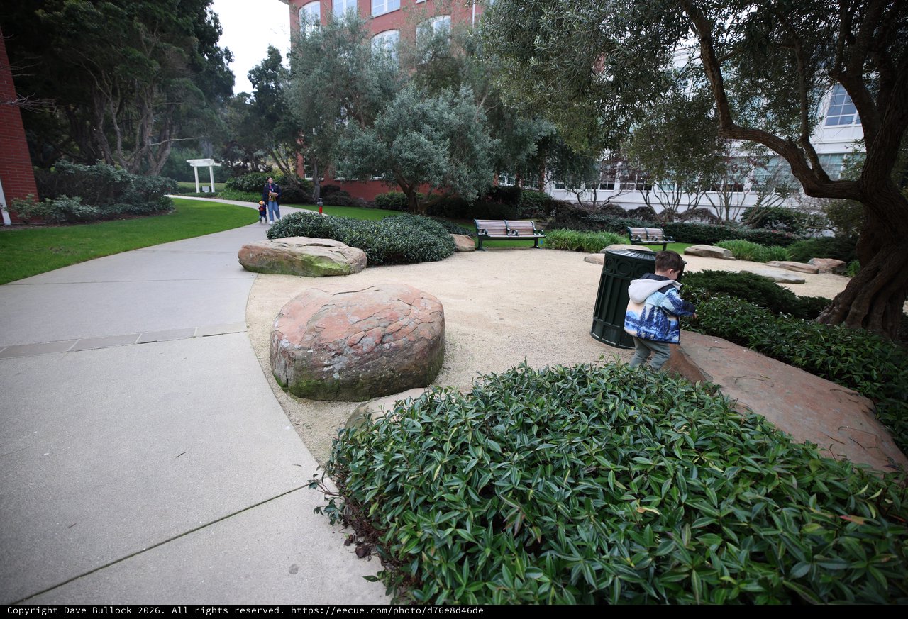 Child Exploring Urban Park with Natural Stone Features