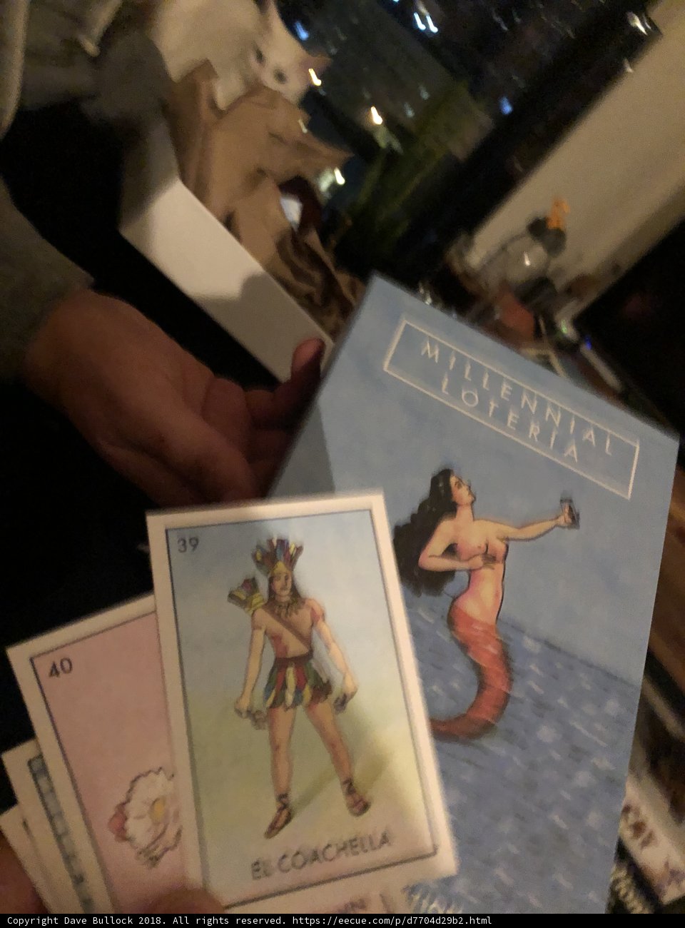 A game of cards with a feline friend