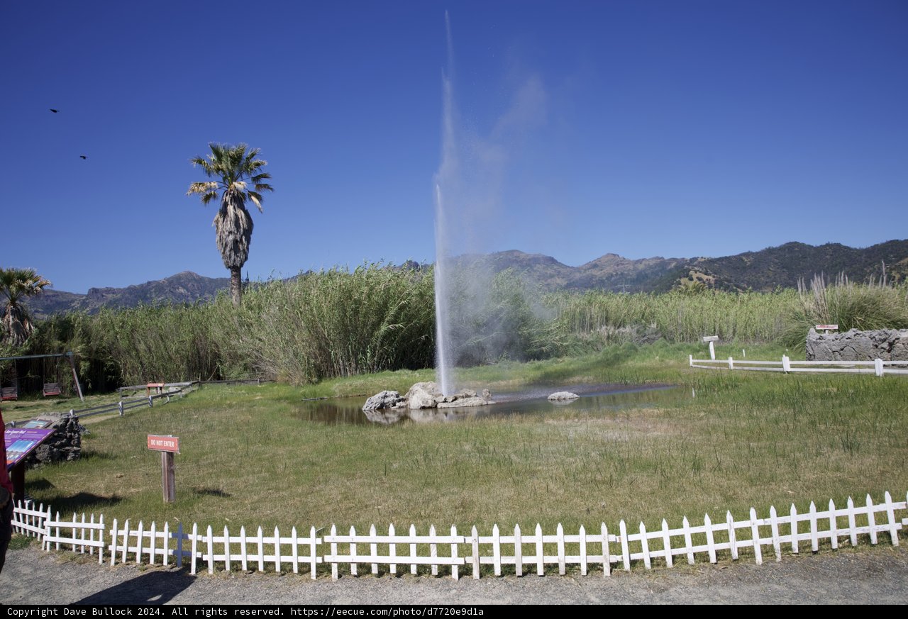 Spectacular Eruption at Old Faithful Geyser, Calistoga