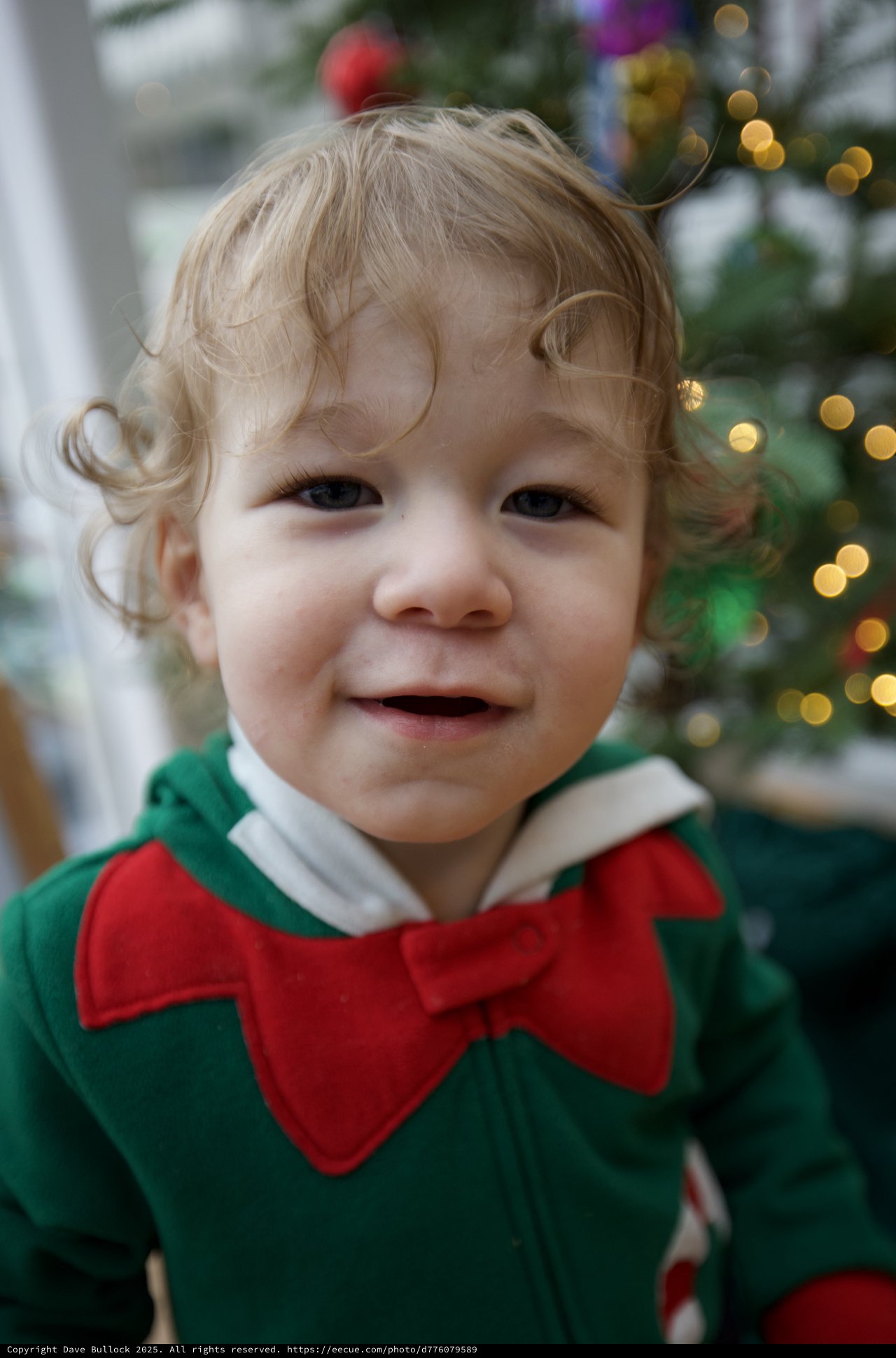 Adorable Toddler in Festive Christmas Elf Costume