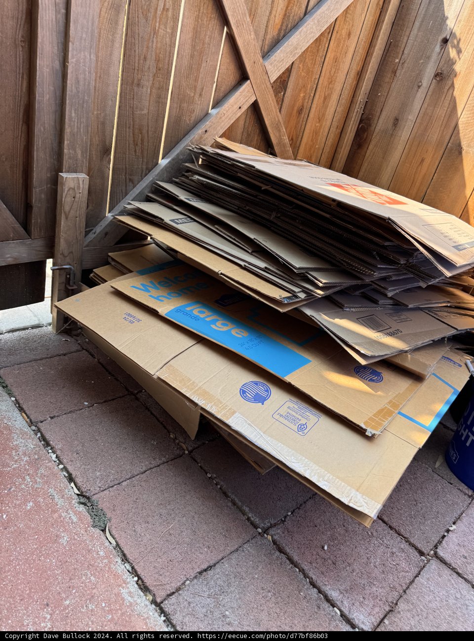 Cardboard Chronicles