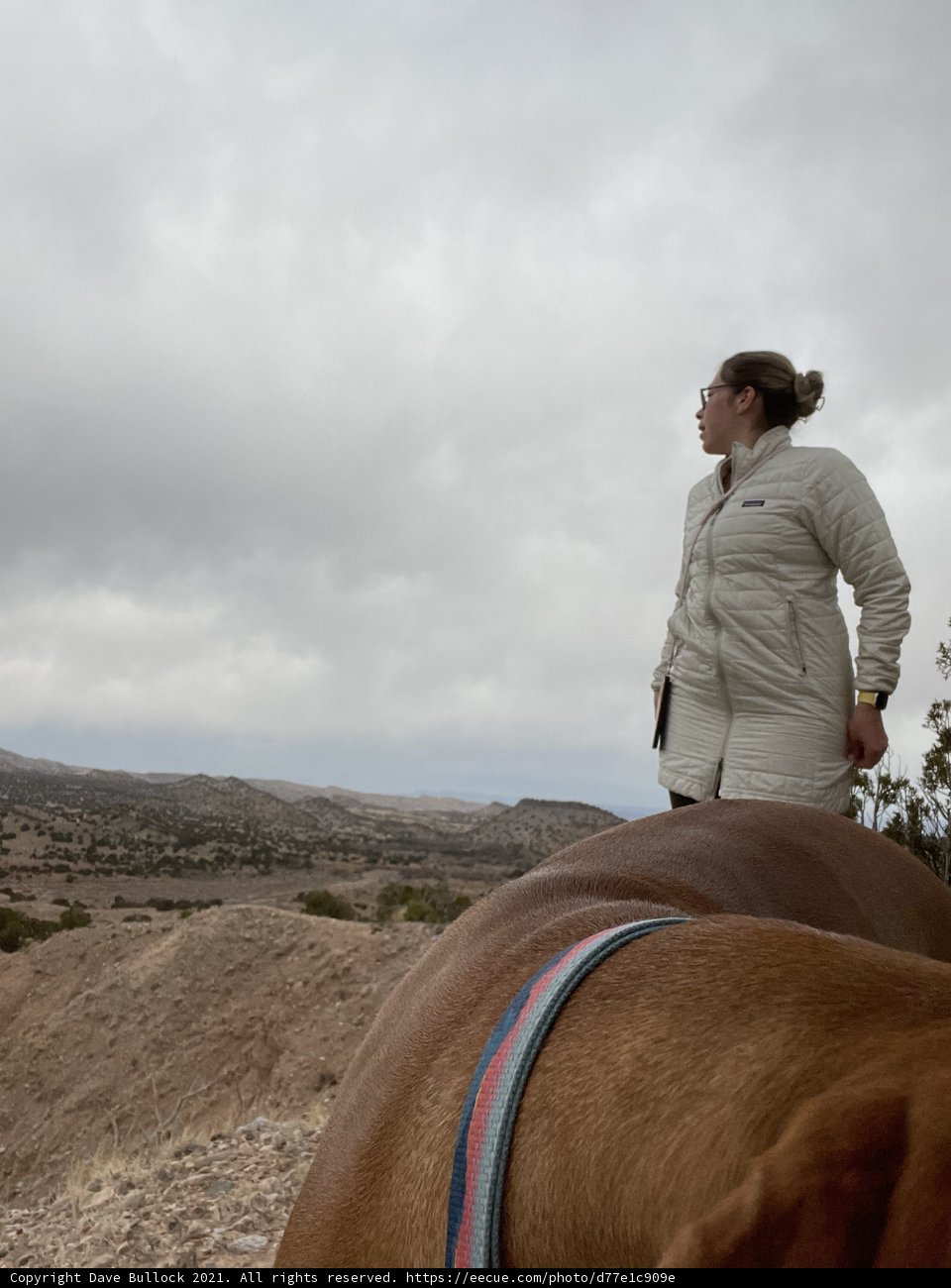Desert Equestrian
