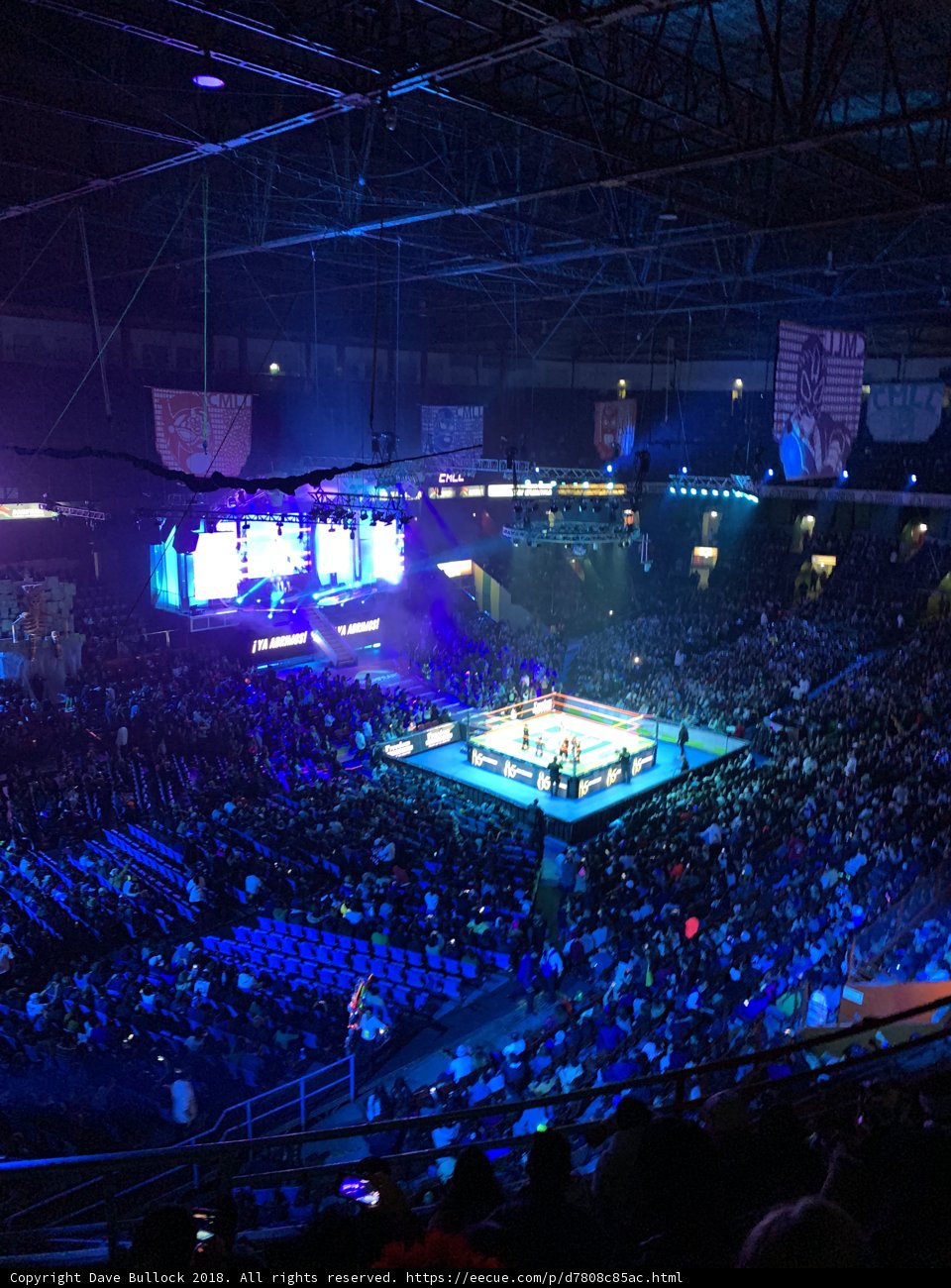 Wrestling Match at the Urban Arena