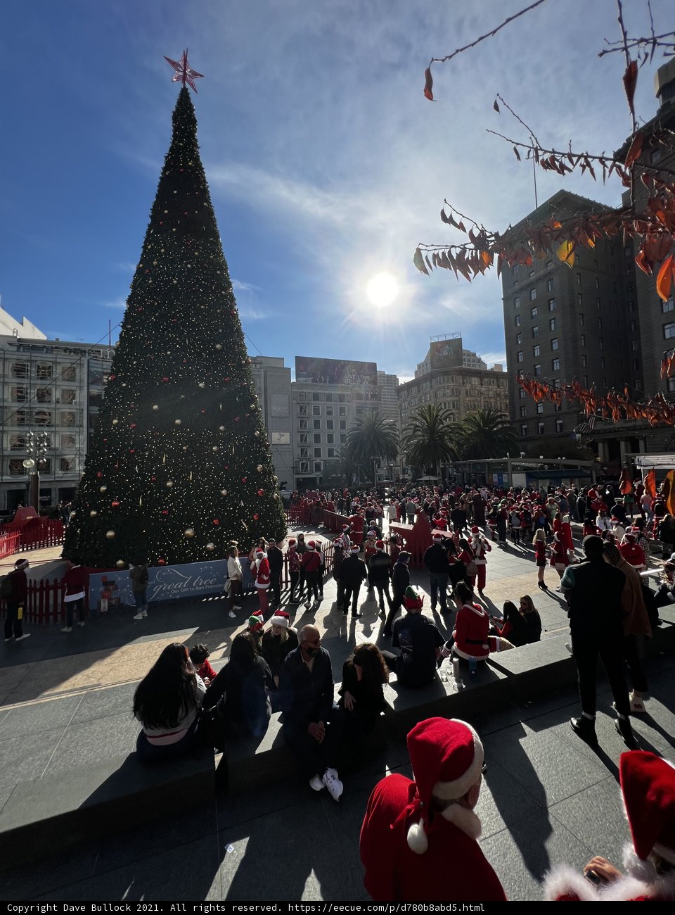 Christmas Cheer in the Urban Jungle