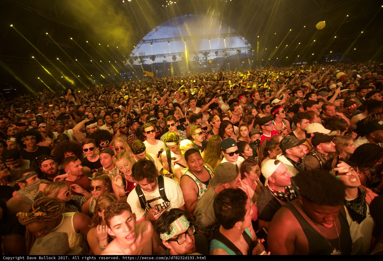 The Electric Crowd at Coachella