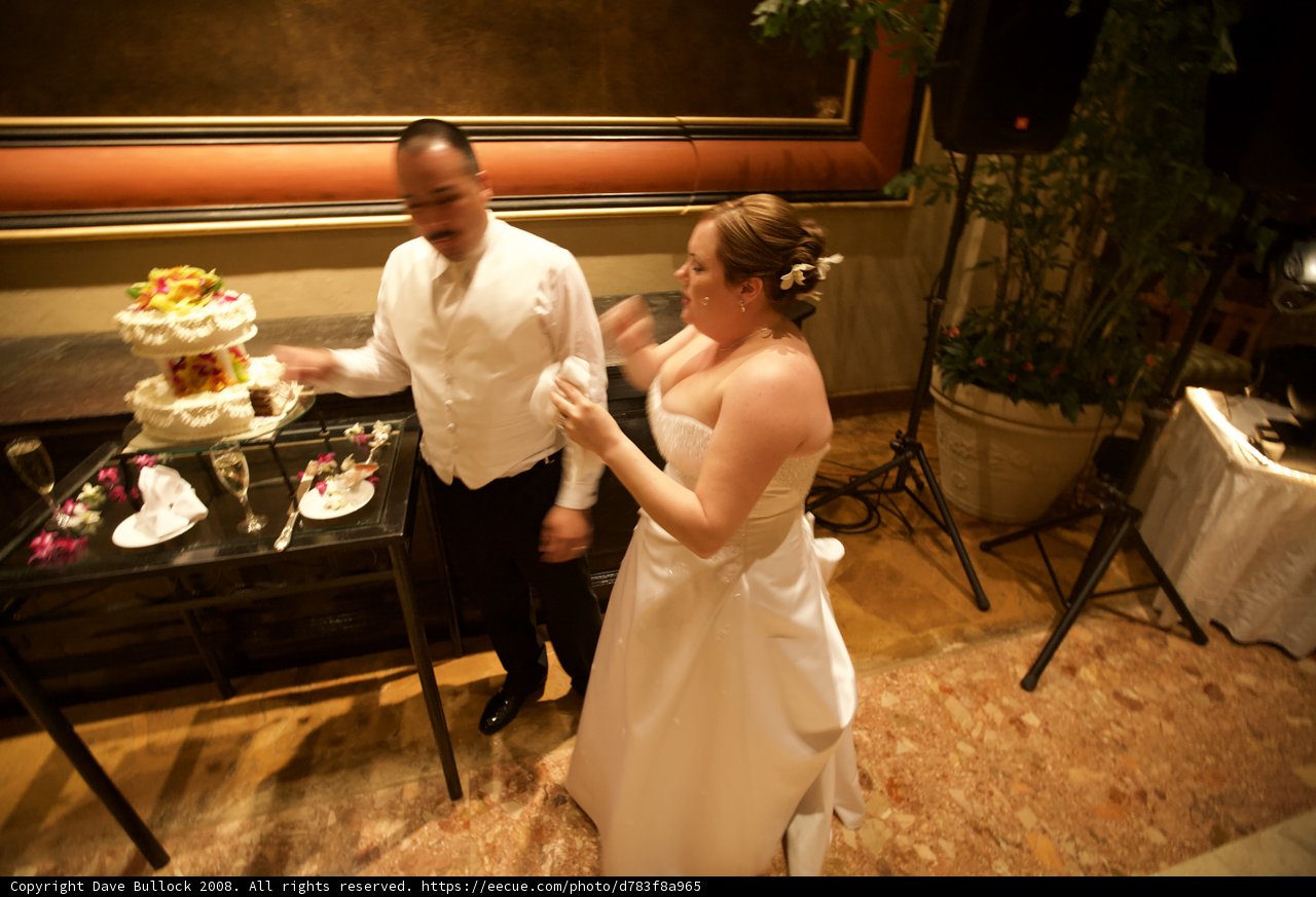 Wedding Cake Celebration