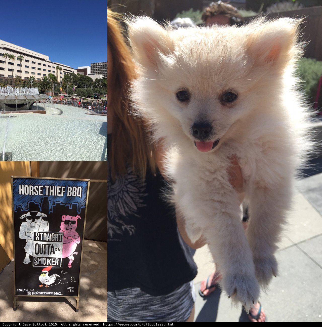 Downtown LA Day Collage