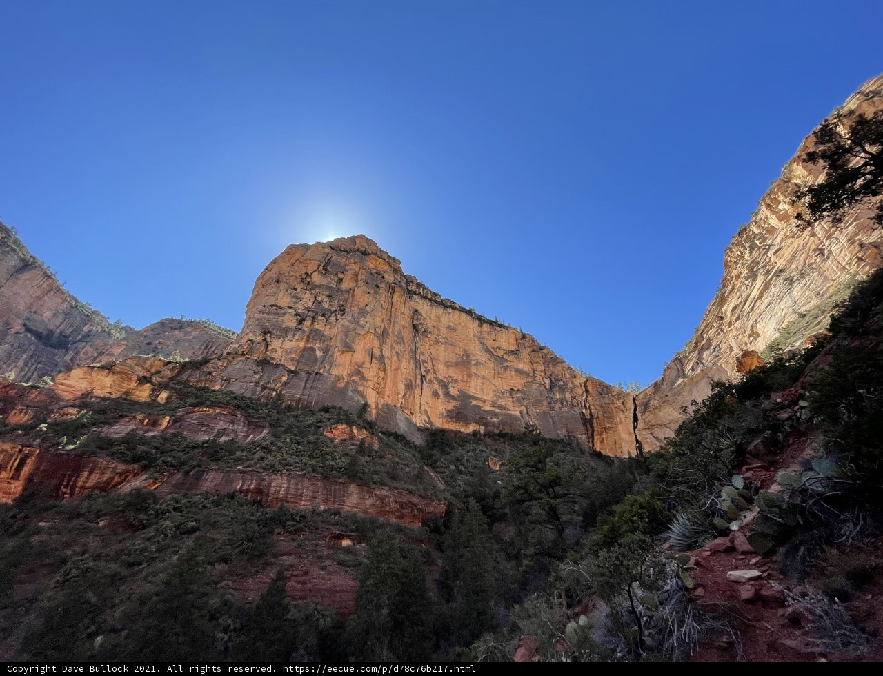 Majestic Cliffs of Coconino National Forest