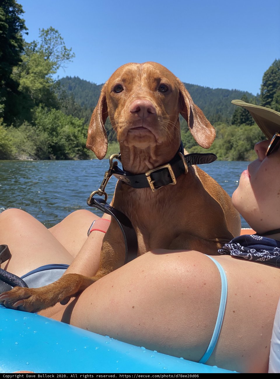 Summer Fun on the Russian River