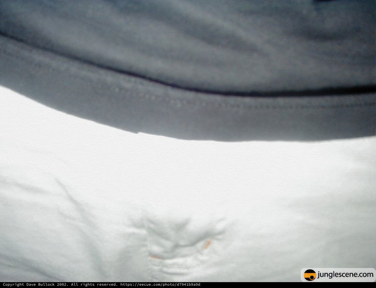 Hand in the Snow