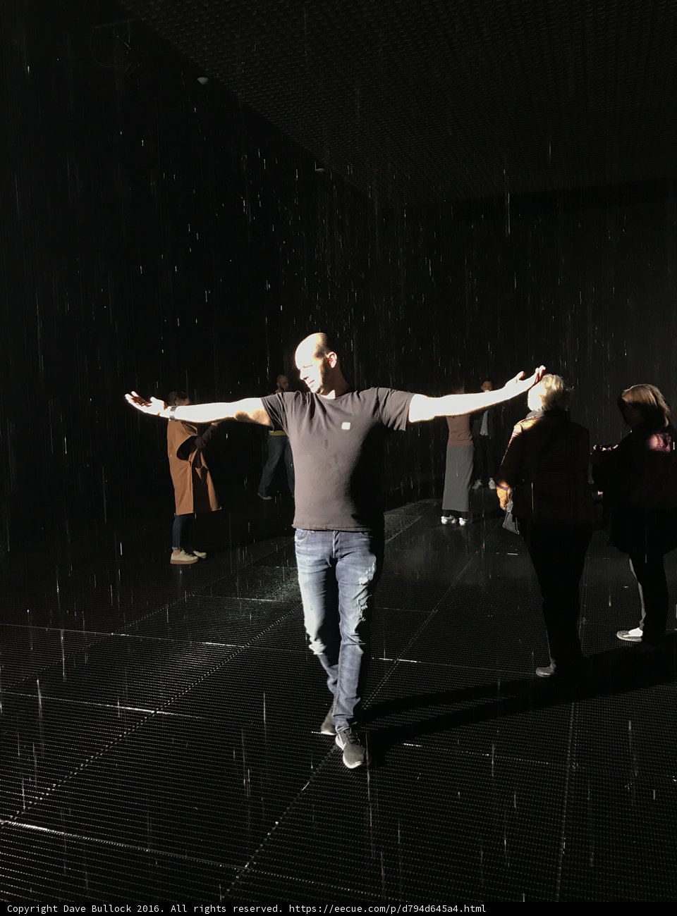 Rain Dance