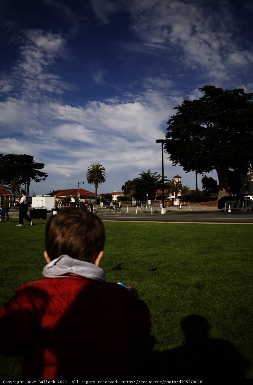 Summer Skies & Childhood Dreams: The Kite Flyer