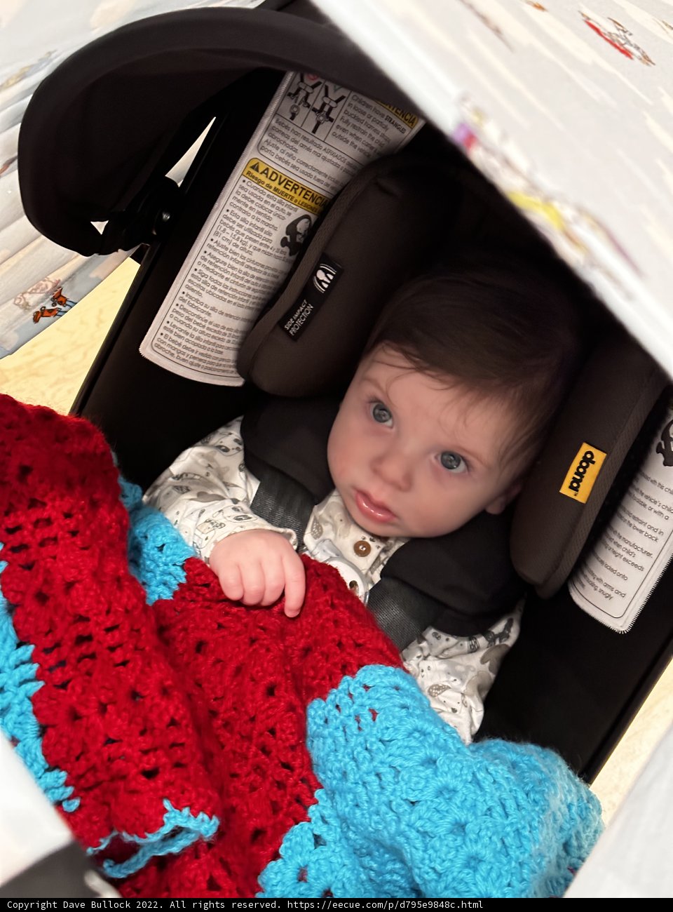 Cozy Baby in Car Seat