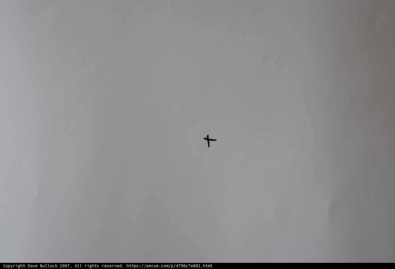 Taking Flight