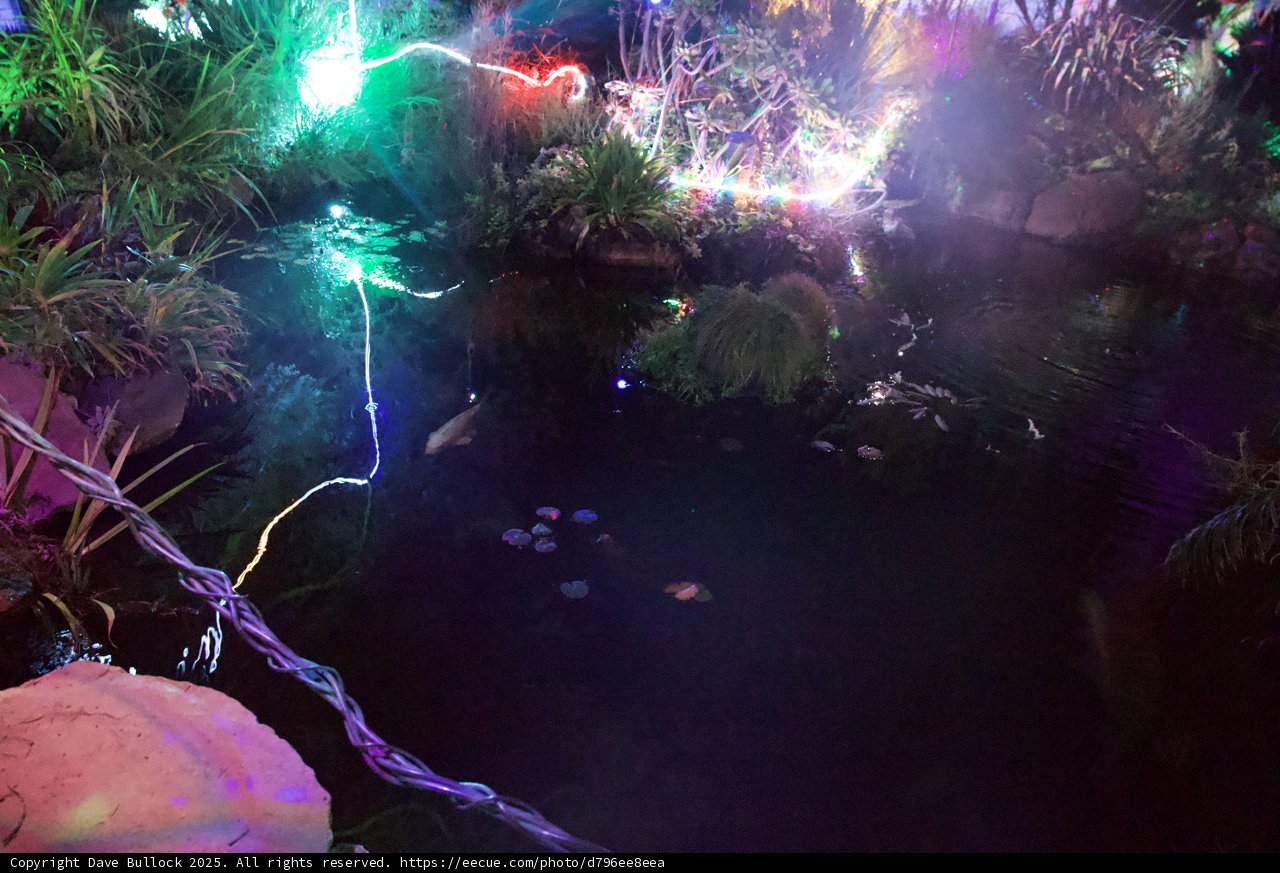 Enchanted Aquatic Glow