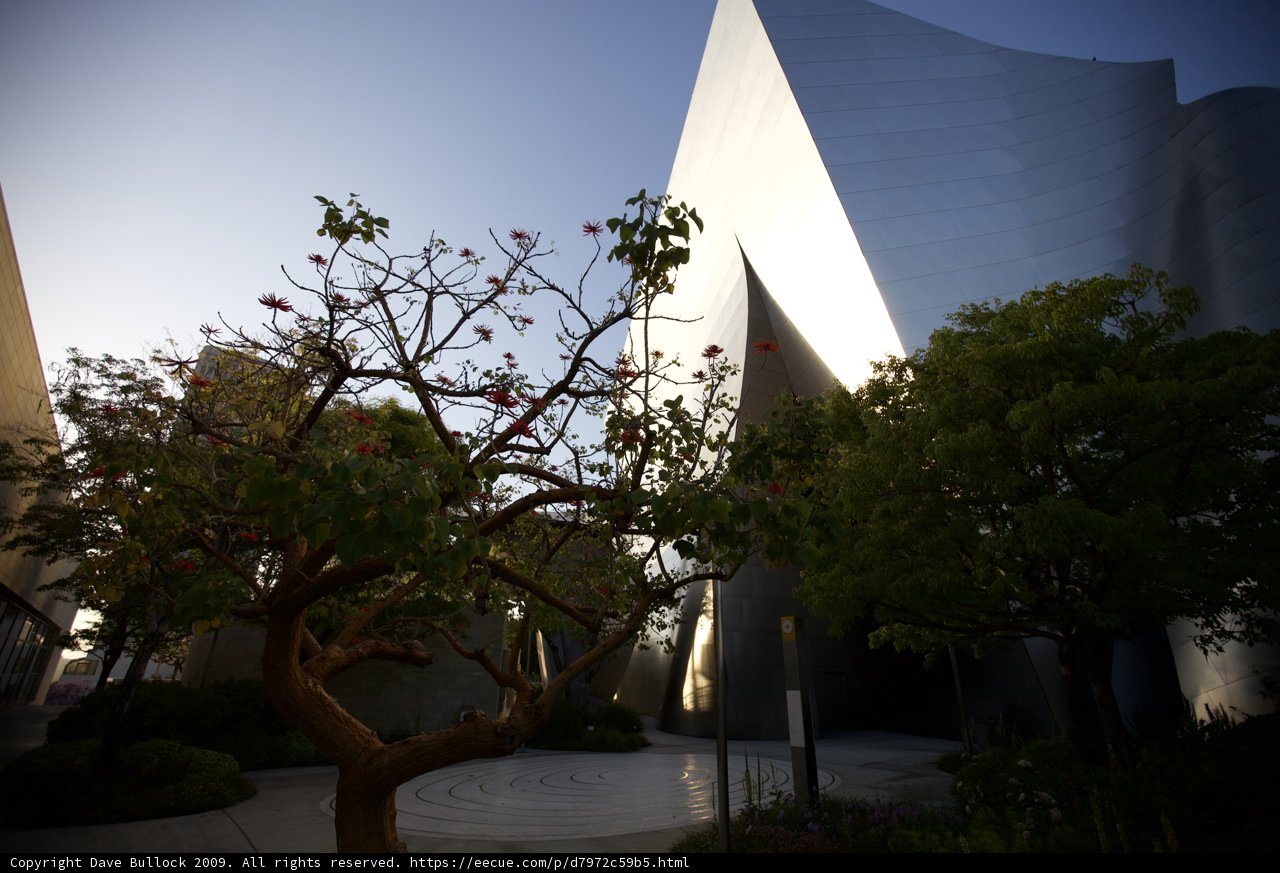 Walt Disney Concert Hall in Los Angeles