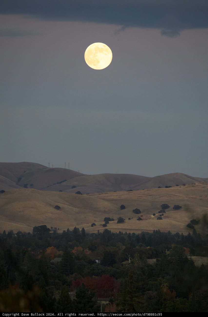 Lunar Majesty Over Walnut Creek