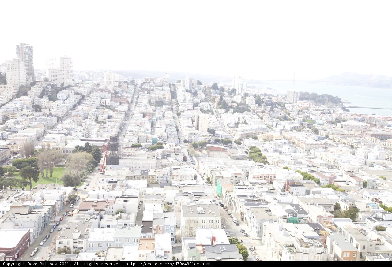 Overlooking the Urban Jungle