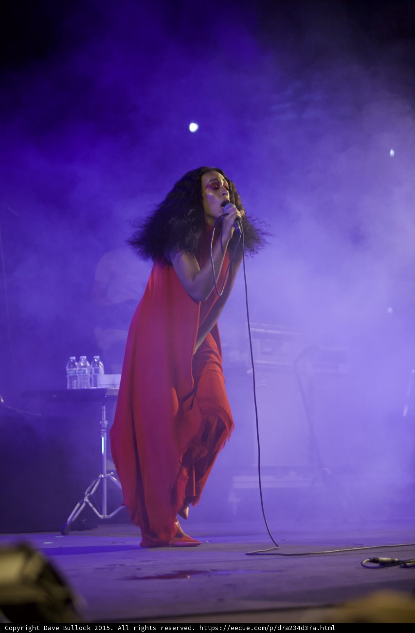 Solange Full Body Wild Hair Red Dress Amplifier Purple