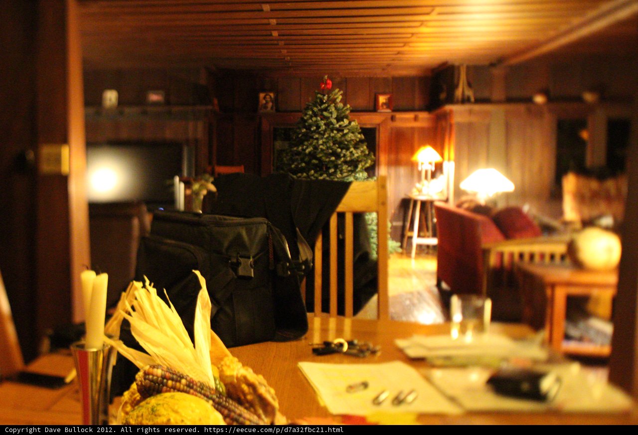 A Cozy Christmas Dinner