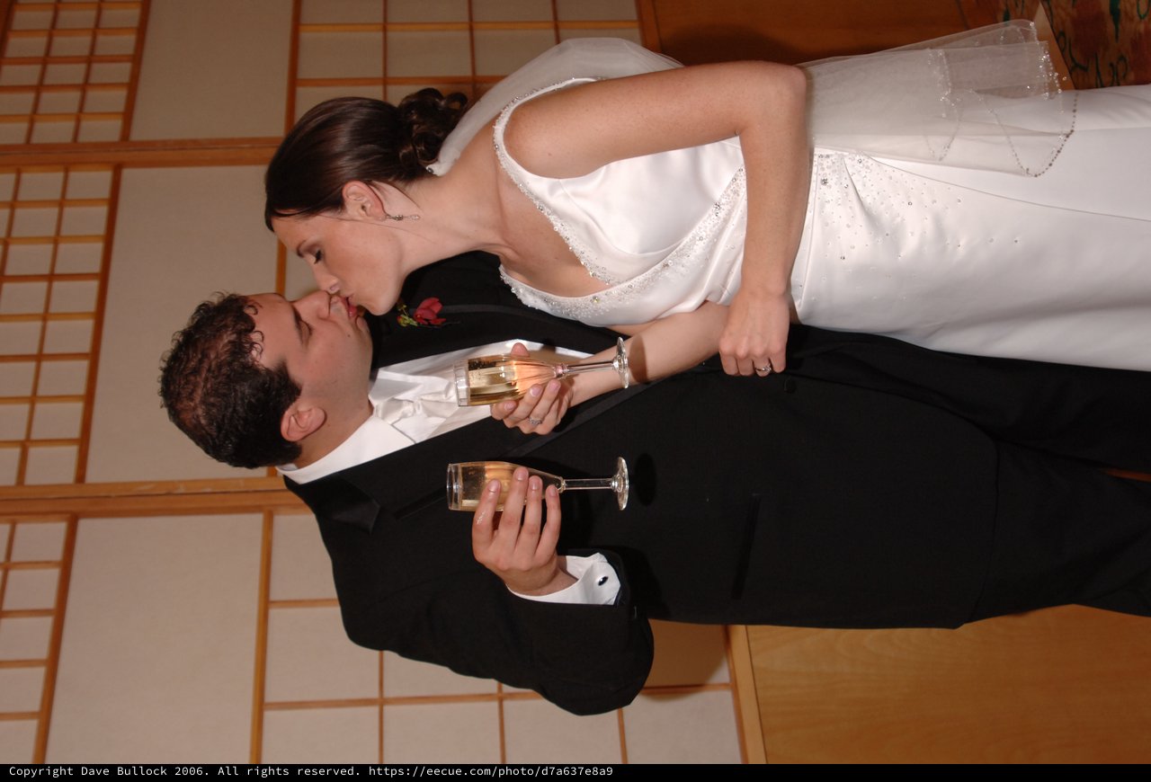 Newlyweds Share a Kiss and Champagne Toast