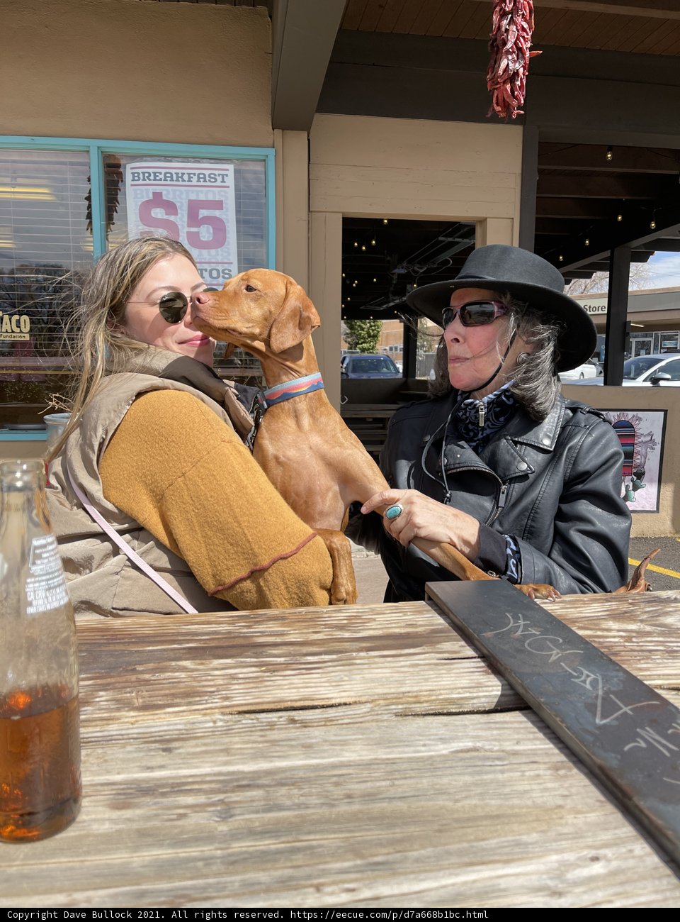 Woman in Black Jacket Poses with Friends