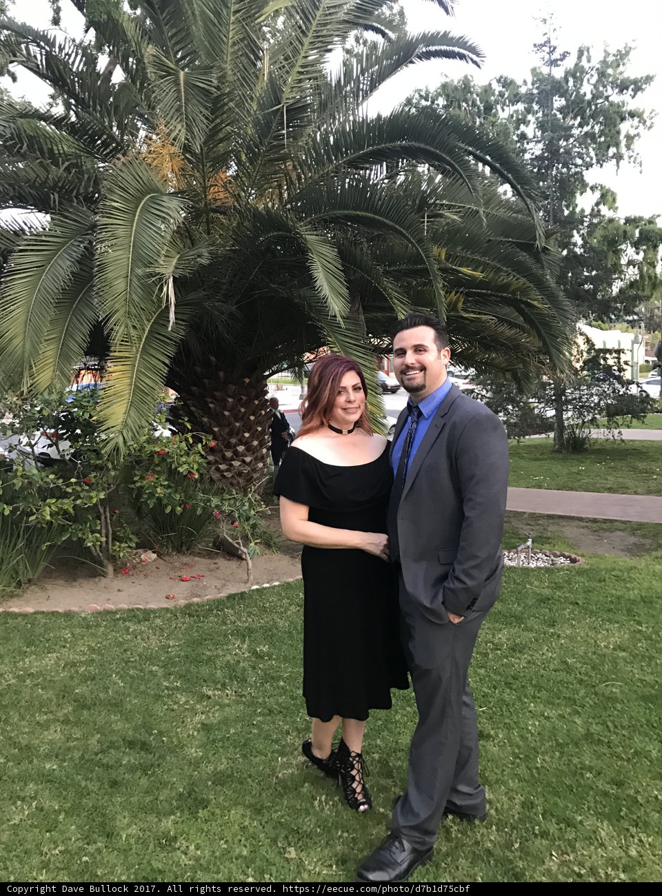 A Formal Affair under the Palm Tree