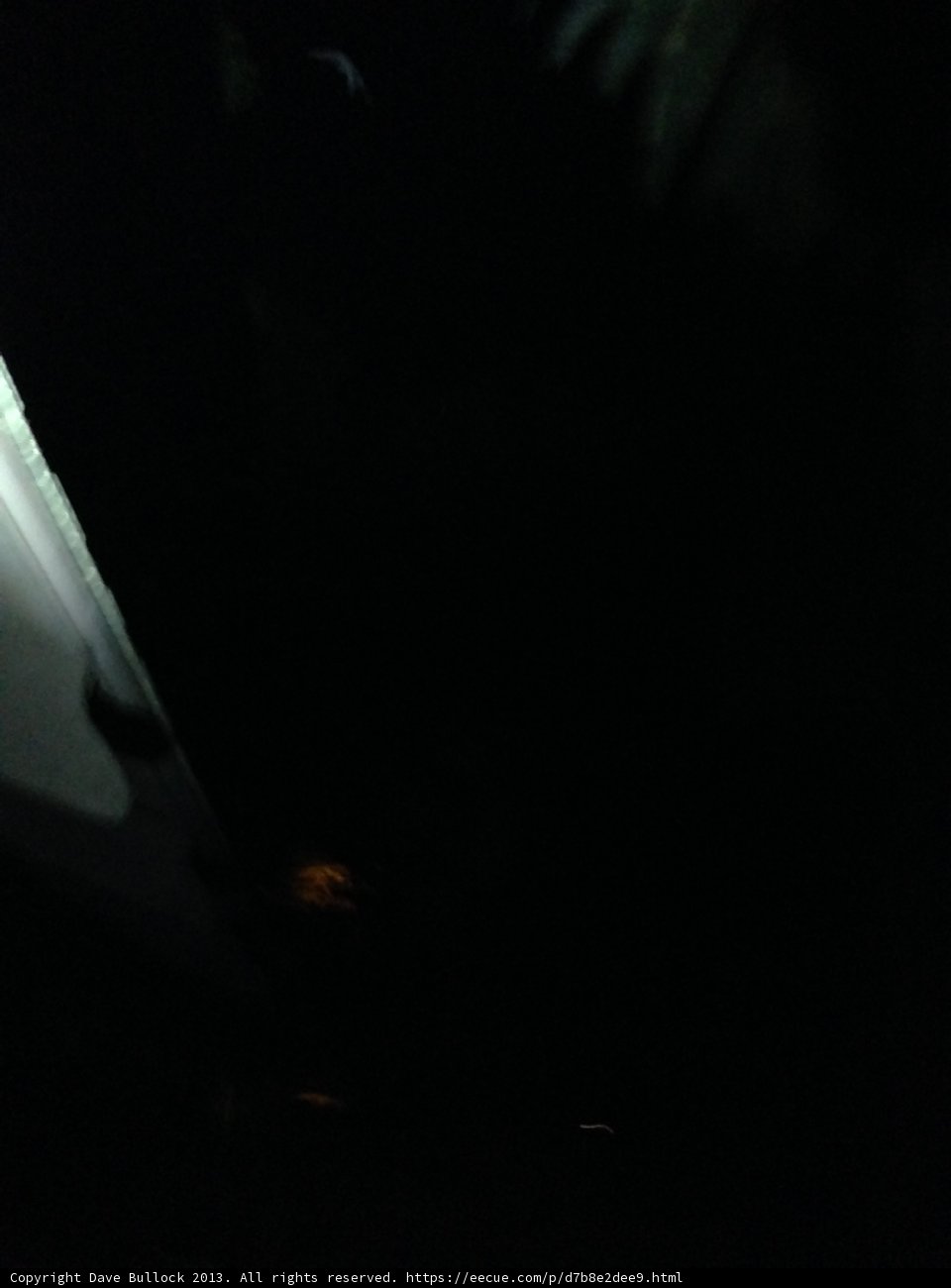 Spotlit in the Dark