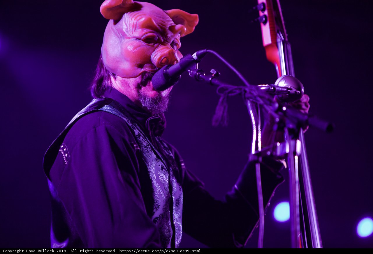 Pig Masked Singer Rocks Coachella Crowd
