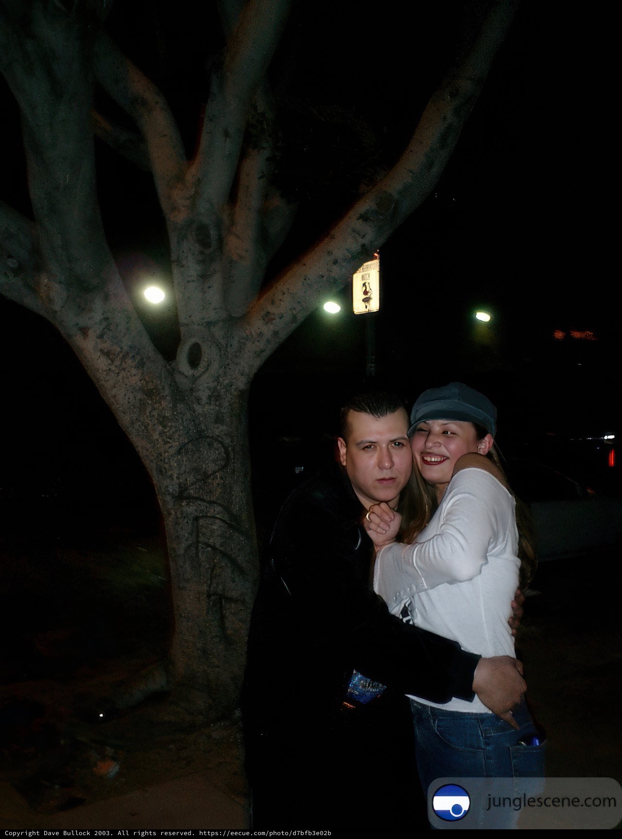 Romantic Couple under luminous Night Sky