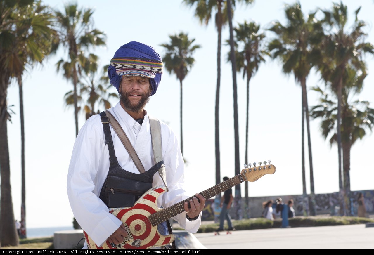 Turbaned Guitarist Serenades Under a Palm Tree