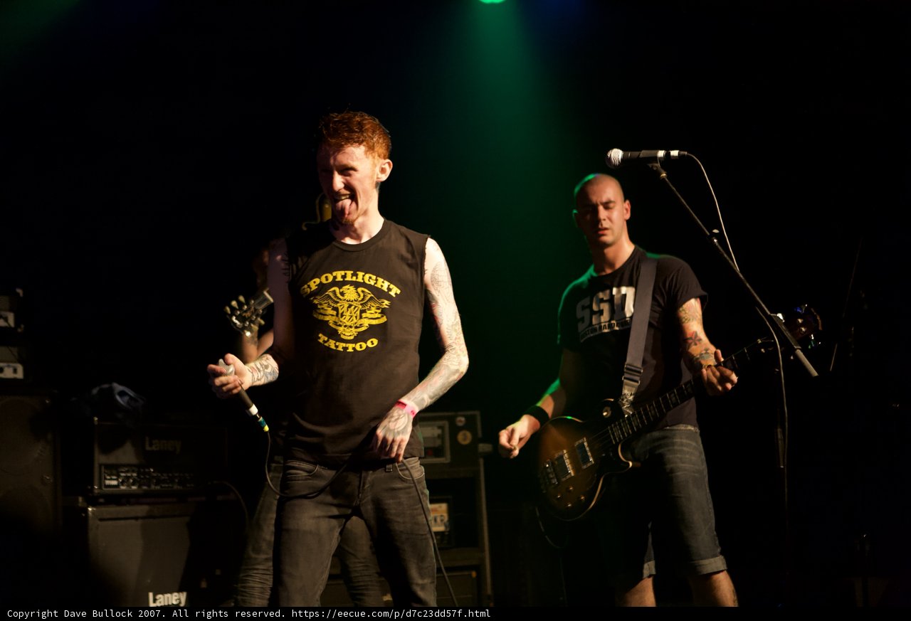 Rocking out with Bad Religion